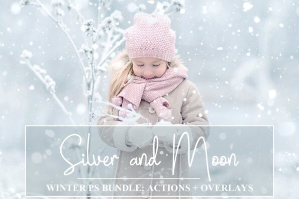 Winter Bundle: PS Actions + Overlays
