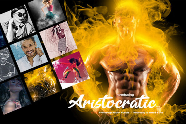 12 IN 1 Aristocratic Photoshop Actions