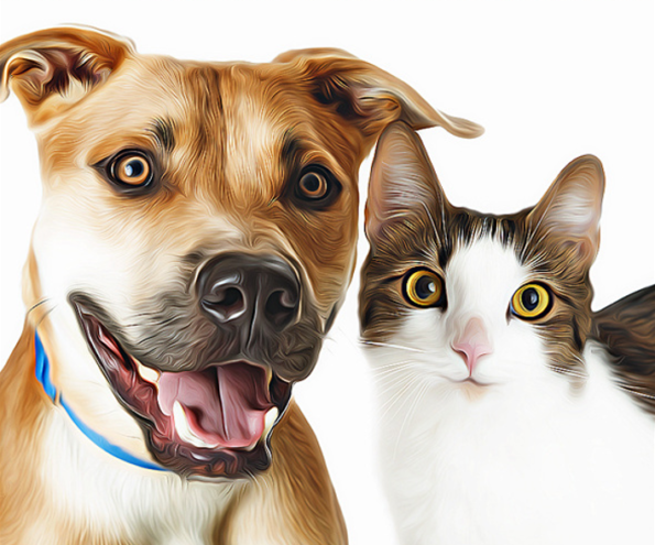5 Cartoon Painting Photoshop Action Bundle