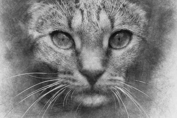 Sketch Photoshop Action