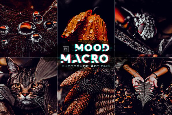 Macro Moody Photoshop Action